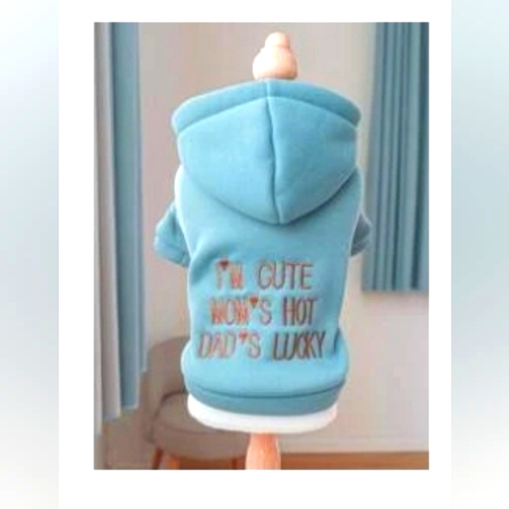 New Dog Hoodie | Blue | Size XL